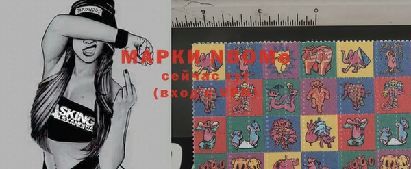 гашик Белоозёрский