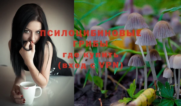 трава Беломорск