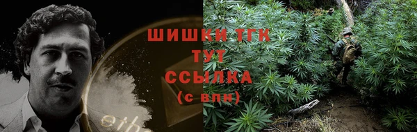 гашик Белоозёрский