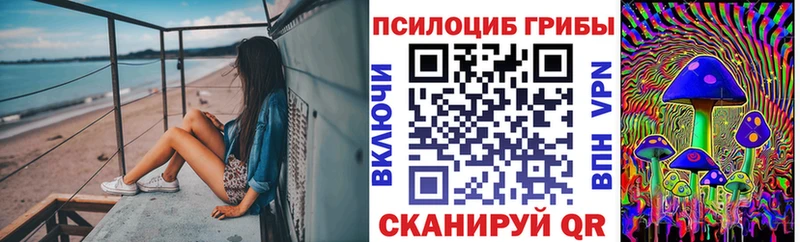 даркнет какой сайт  Михайлов  Галлюциногенные грибы мухоморы  цены  